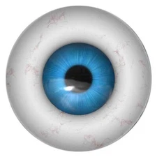 Eyeball, Vinyl Decal Sticker, Indoor Outdoor, 3 Sizes, #8235