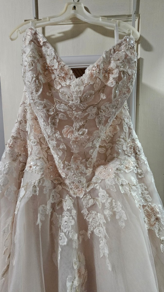 Embroidered Lace Applique Ball Gown Wedding Dress | eBay