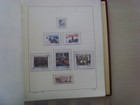 Bild 7 von 16
