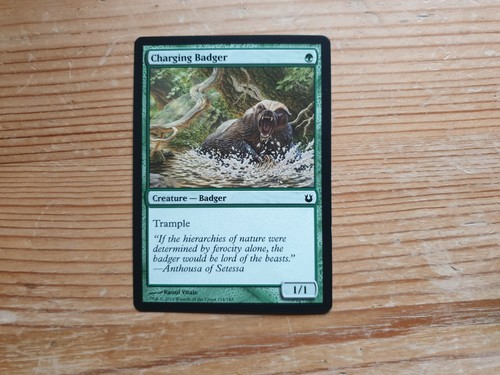 Magic: The Gathering Magic: The Gathering cartas coleccionables singles Born of the Gods - Imagen 75 de 95