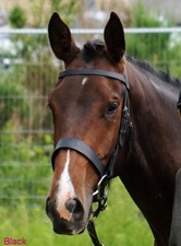 FSS SEDGWICK ENGLISH Leather Working Hunter Plain Hunt Bridle 3/4" Cheek 2" Nose