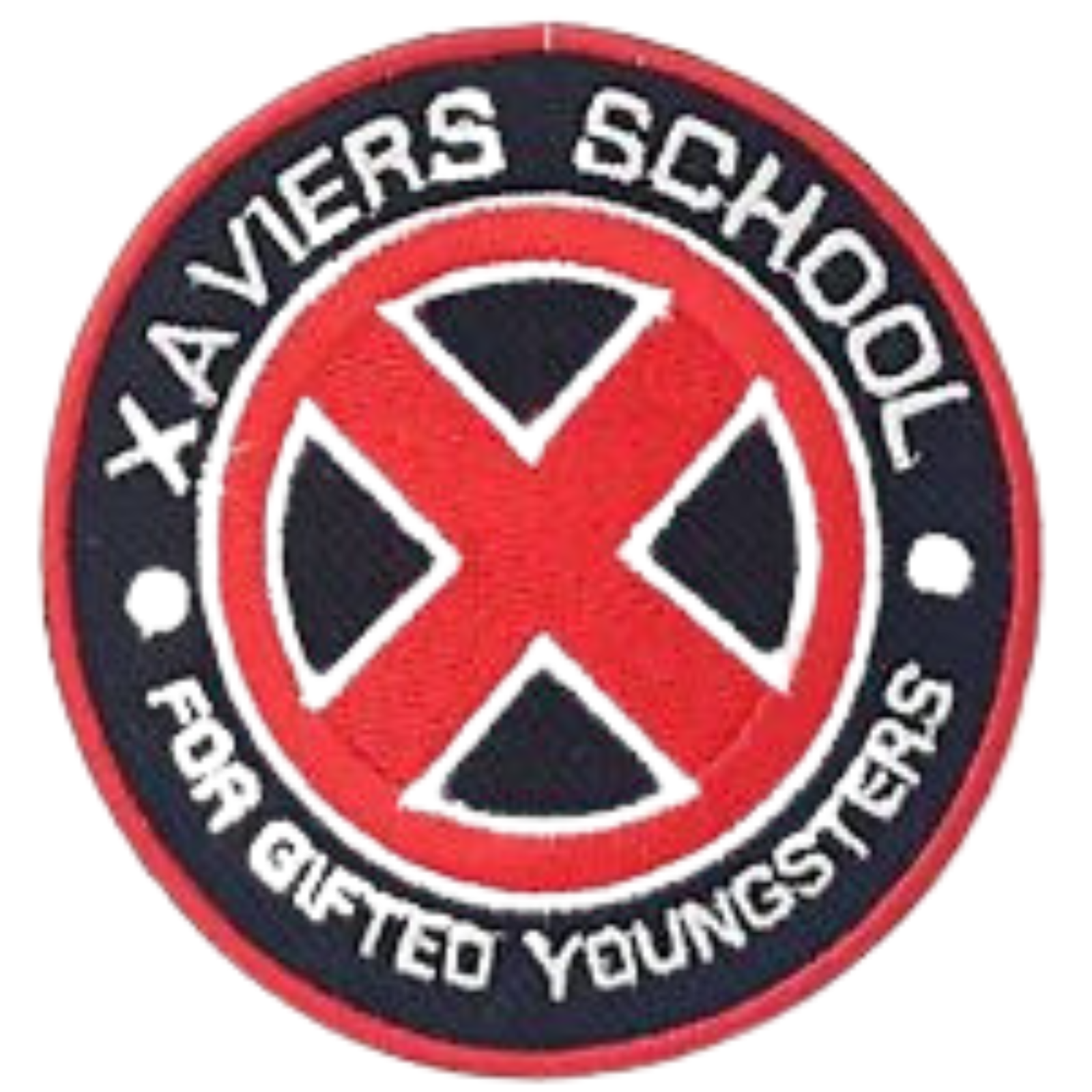 Xavier School for Gifted Youngsters Embroidered Iron On Patch
