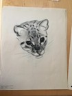 Bild 2 von 4
