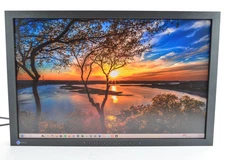 Eizo RadiForce MX241W 24" 2MP Clinical Review Monitor DVI DisplayPort NO Stand