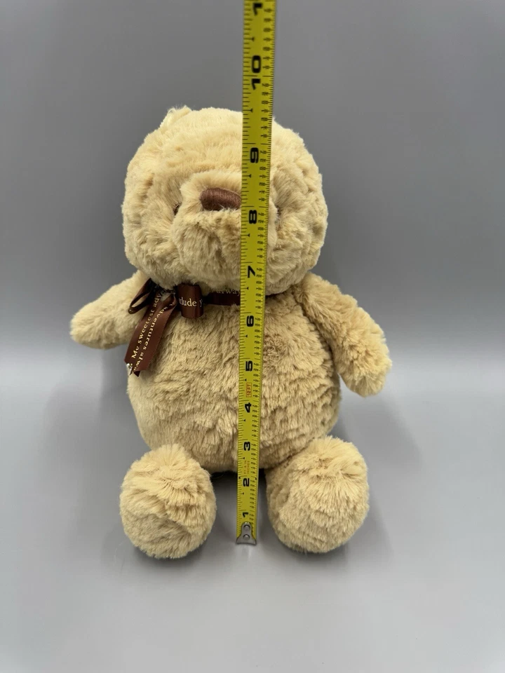 Disney Baby Peluche Clásico Winnie The Pooh 11” Oso de Peluche 2017 Marrón Ojos Suaves Foto 3 de 4
