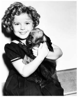 m*♡様 Shirley Temple SS3588832) Movie picture of Shirley Temple buy celebrity