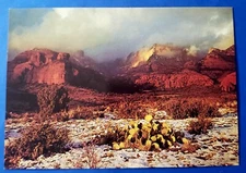 Postcard Cactus Desert Snow Red Rock Buttes Sedona AZ Bob Bradshaw CP15720