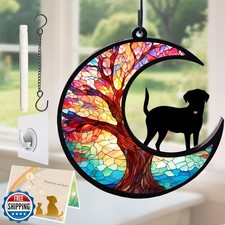 Agoumlux Dog Angel Memorial Suncatcher with Rainbow Bridge Poem Card, Pet Sym
