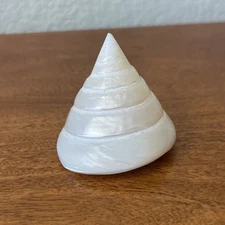 TROCHUS NILOTICUS MOTHER OF PEARL Shell Seashell Beach Nautical Coastal Decor