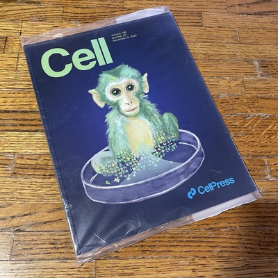 Cell Magazine Medical Journal Vol 186 #23 Nov 9, 2023 STEM & Mechanobiology