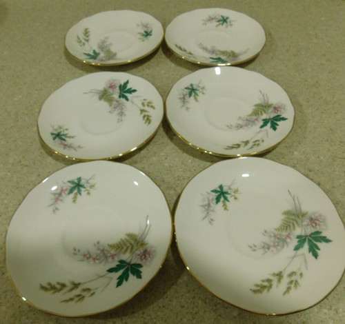 Vintage Duchess Bone China England Louise 364 6" Saucer Plate Set Of 6 .