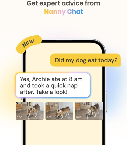 Videocamera 360° per Cani Con Pacchetto Sicurezza Casa [PREMIUM CON ABBONAMENTO - Foto 9 di 12