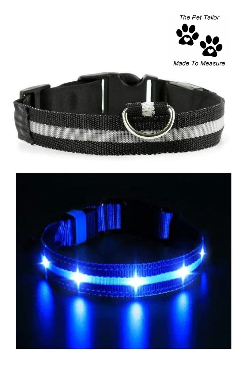 Brittany Dog LED dog Collar Size L Large Light Up Flashing Pet