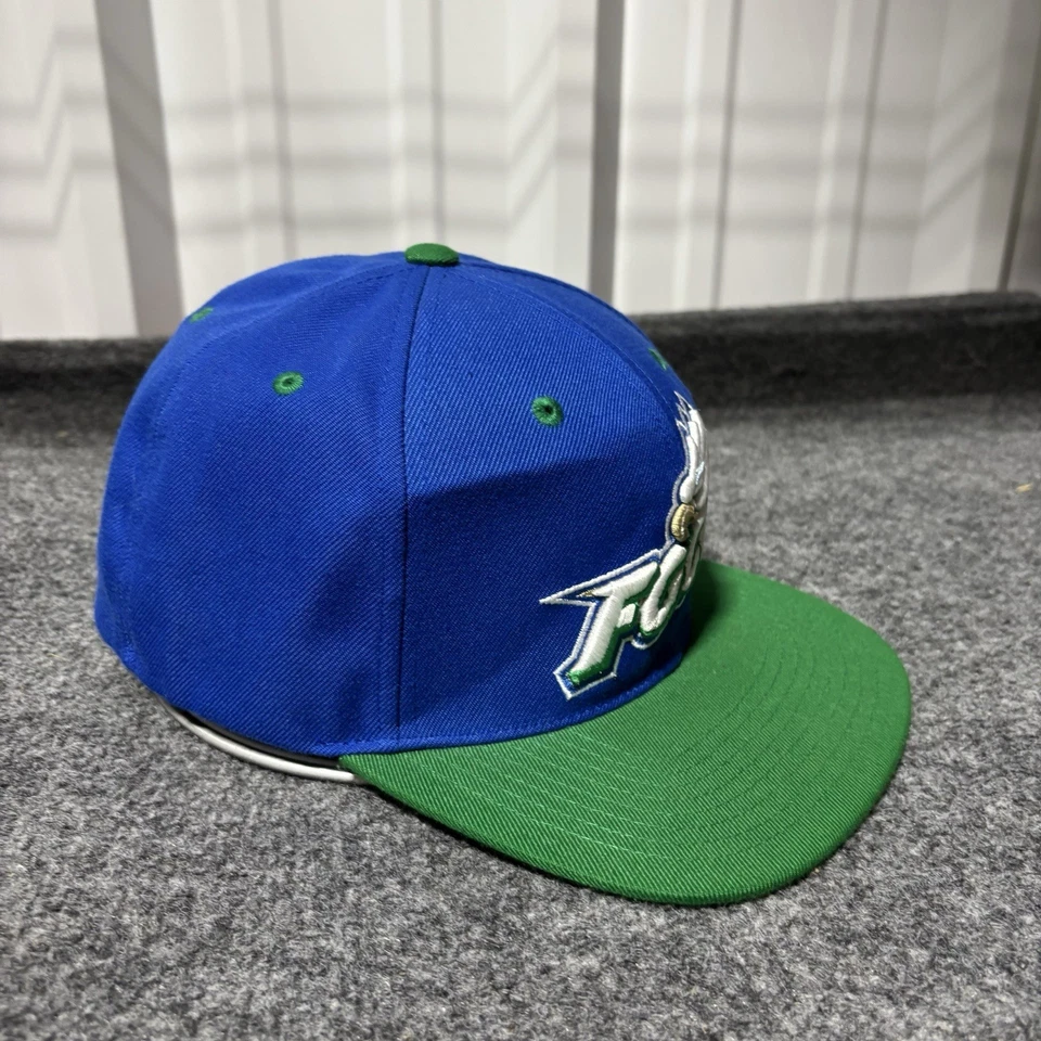 Florida Gulf Coast Eagles Snapback Sombrero Gorra Adulto Zephyr Verde Azul FGCU Foto 3 de 4