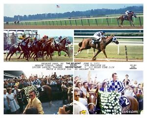 2013 Belmont Stakes Results Chart