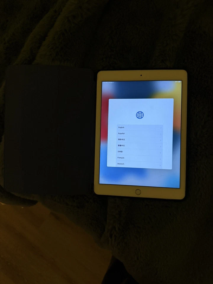 Apple iPad Air 2 16 GB Wi-Fi 9,7 pulgadas - plateado Foto 3 de 3