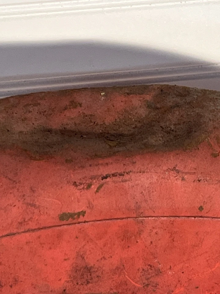 Used Harley Davidson Rear Fender Aermacchi Sprint Leggero M50 M65  Dented AMF — 第 3/4 张图片