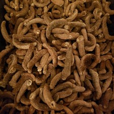 1LB Red sea cucumber natural sun dried from Alaska Grade AAA          