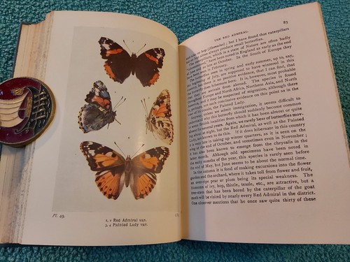 Wayside & Woodland, Schmetterlinge der britischen Inseln, Süden, 1960, HB mit DJ - Bild 14 von 16