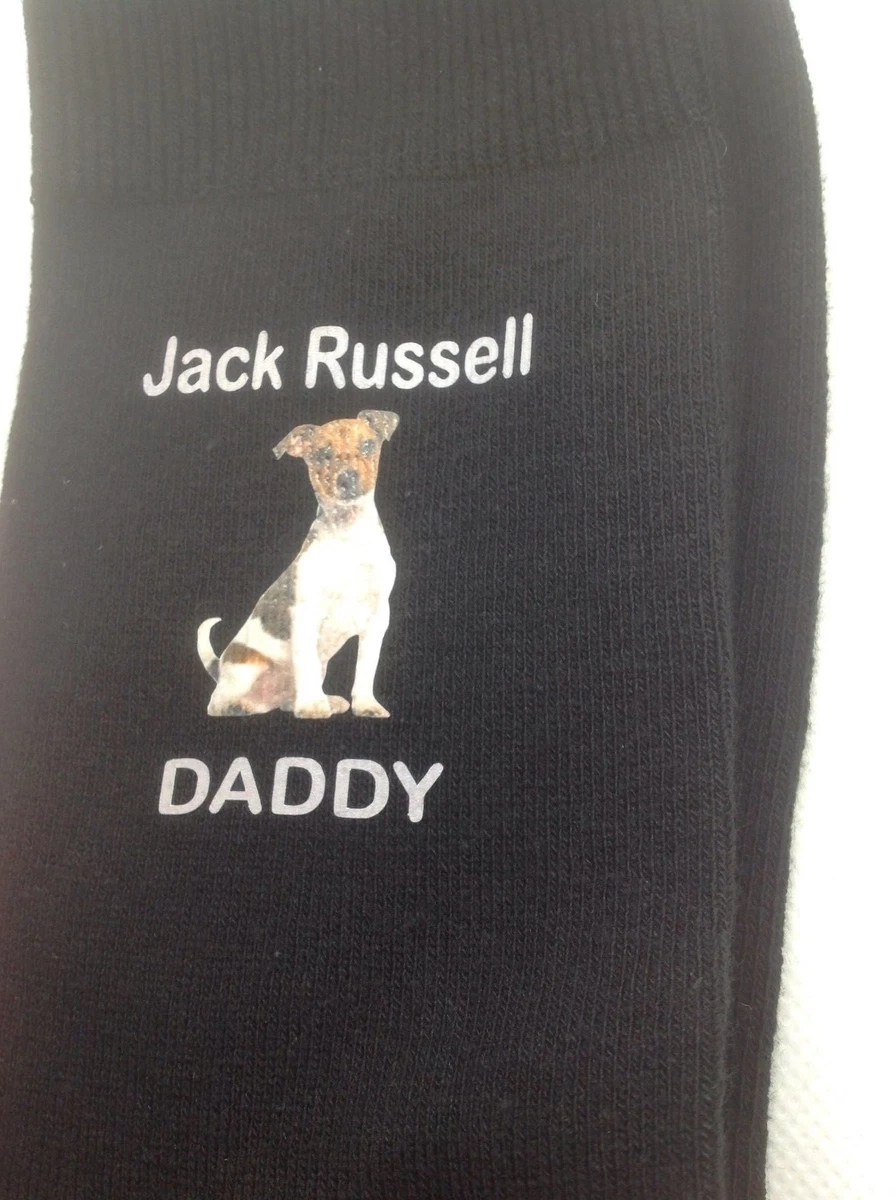 Rough Coated Jack Russell Puppies For Sale In Kent at Albert Jarman blog Rough Coated Jack Russell Puppies For Sale In Kent at Albert Jarman blog