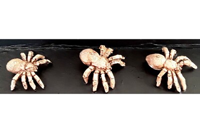 15mm Fantasy Dark Elf Spiders & Packmaster (8 figures)