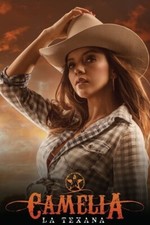 Serie "Camelia La Texana" Mexicana 2014 En Memoria (USB)