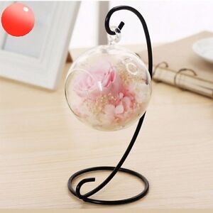 Details About Hanging Preserved Rose Flower Crystalgift Ideas For Her Sweet Decoration