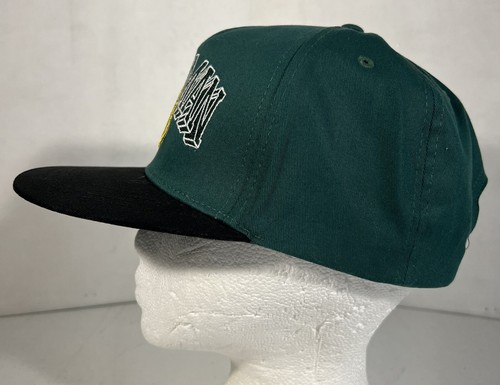 Six Flags Grand Prairie TX Aquaman Power Wave Snap Back Sombrero Talla Única Verde Raro - Imagen 4 de 10
