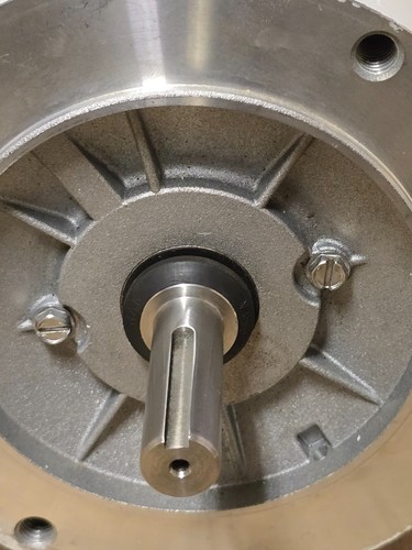 LEESON WASHGUARD MOTOR, C6T17VC5H, 113649.00, 1/4 HP,1725 RPM,NEW! MAKE OFFER!! - Picture 8 of 8