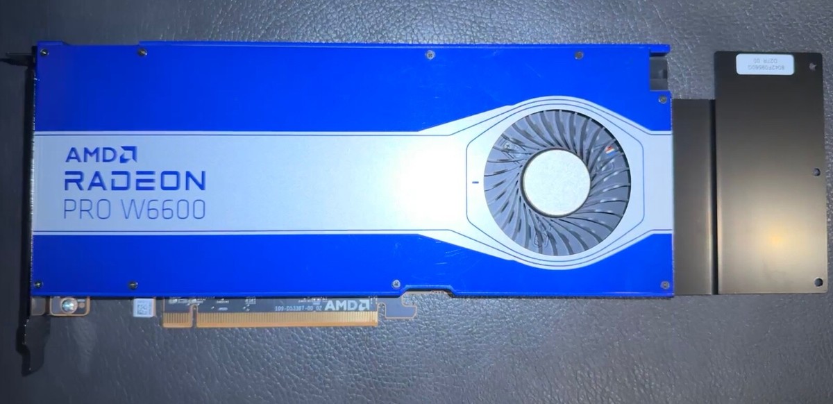 AMD Radeon Pro W6600 8GB 動作確認済み RADEON PRO W6600 - Used - AMD Radeon PRO W6600 GPU 8GB 1792
