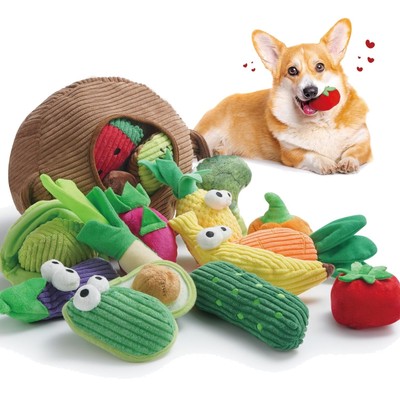Hundespielzeug Set 15 Stück Obst Gemüse Kauspielzeug Quietschspielzeug für Hunde