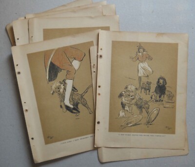 HUNDE VON CECIL ALDIN - ORiGINAL 1904 LITHOGRAPHIE EXLIBRIS - UNMONTIERT + KOSTENLOSER VERSAND