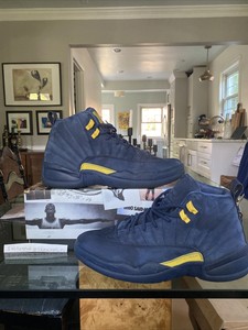 aj 12 michigan
