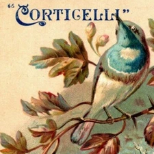 Scarce Corticelli Spool Silk - Marr & Duff Large Victorian Trade Card 