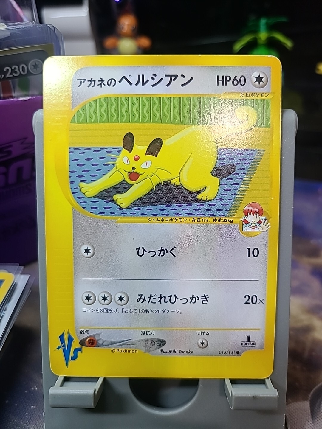 Whitneys Persian 016/141