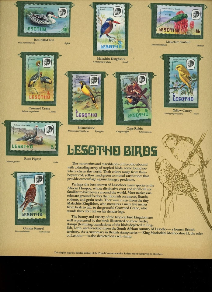 Sociedad Comercial Postal Mundo de Estampillas Lesotho Birds Foto 3 de 3