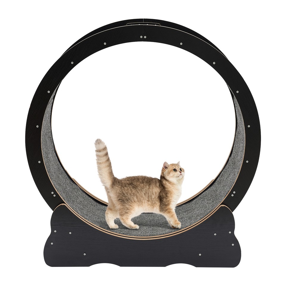 35 83 in cat exercise wheel large cat treadmill running wheel for