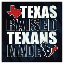 Houston Texans NFL Football Logo Sport Car Bumper Sticker Decal "SIZES"