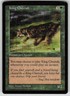 King Cheetah Common Visions MTG Near Mint