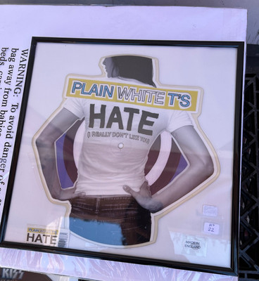 Rare Plain White T's Hate (I Really Don't Like You) 7  Vinyl  Record Picture Lp