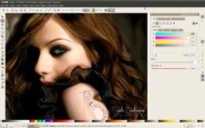 Vector Graphic Design Software  Windows  Mac  Inkscape Pro Illustrator CD-ROM