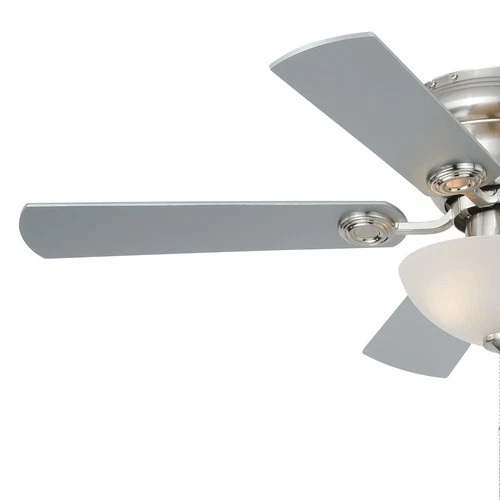 Expo 2-Light Ceiling Fan in Transitional Style 12.5 Inches Tall and 42 Inches - Picture 6 of 9