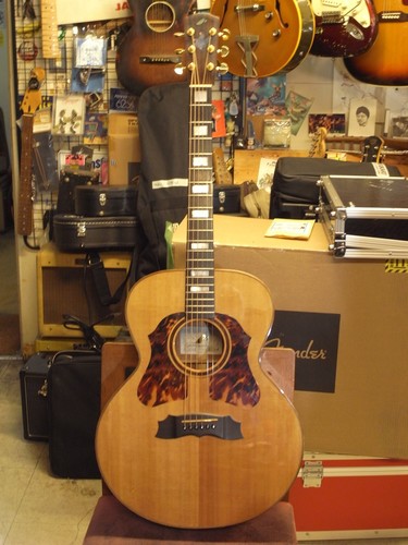 Morris MJ-112TH (2000s) (no260402)