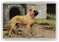 BULLMASTIFF DOG FRIDGE MAGNET GREAT GIFT