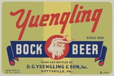 Yuengling Bock Beer of Pottsville, PA Metal Sign 24"x36" USA STEEL XL Size 9 lb