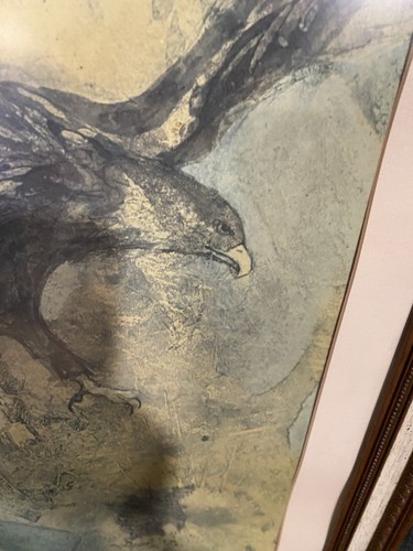 Sue Wise Large Signed Lithograph Nest with Baby Falcons Framed 40”x26” - Picture 9 of 19