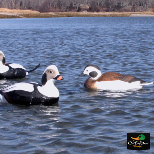 AVERY OUTDOORS GHG COMMERCIAL GRADE LONG-TAILED DUCK DECOYS - 6 PACK - Picture 4 of 4