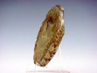 Old Nephrite Jade Stone Carved Pendant Carp Fish/KOI Riding Phoenix #06112406 — photo 4