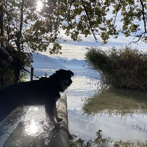 MissingPiecesShop | eBay Stores