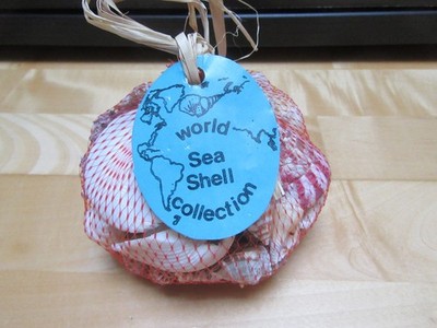 WORLD SEE SHELL COLLECTION, TOP ZUSTAND